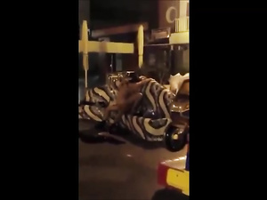 Couple Caught Fucking In The Streets